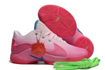 LeBron James Shoes 22-14